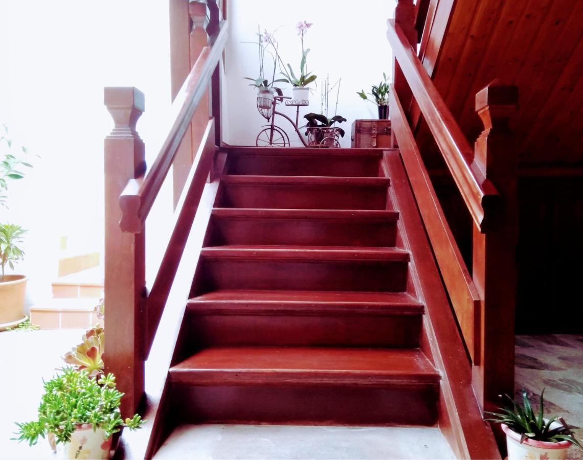 Appartement Helechos